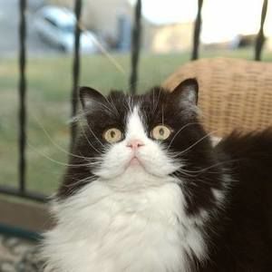 Meet your Posher, Julie